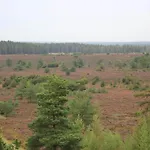 5 Person In Hovborg-by Traum Hovborg