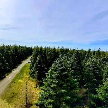 5 Person In Hovborg-by Traum