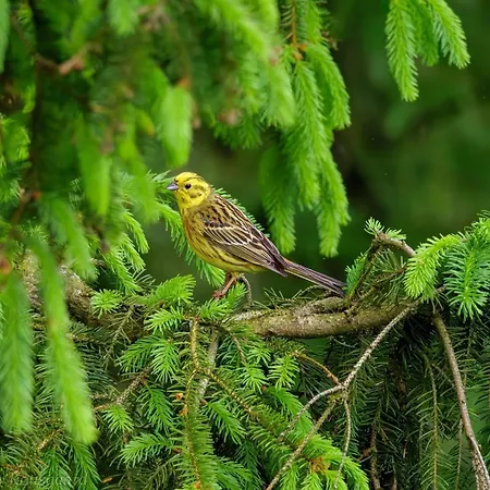 5 Person In Hovborg-by Traum Casa de Férias
