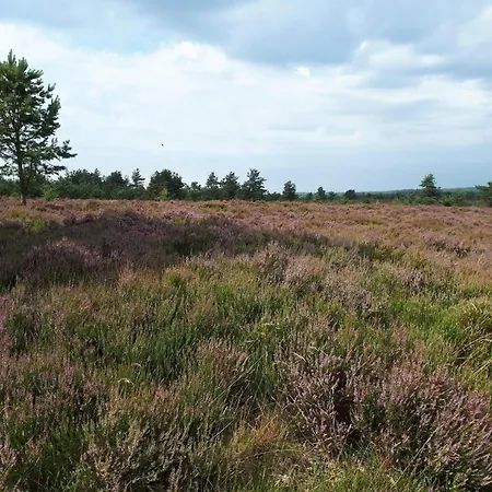 Casa de Férias 5 Person In Hovborg-by Traum