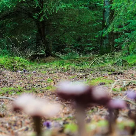 5 Person In Hovborg-by Traum Casa de Férias Hovborg