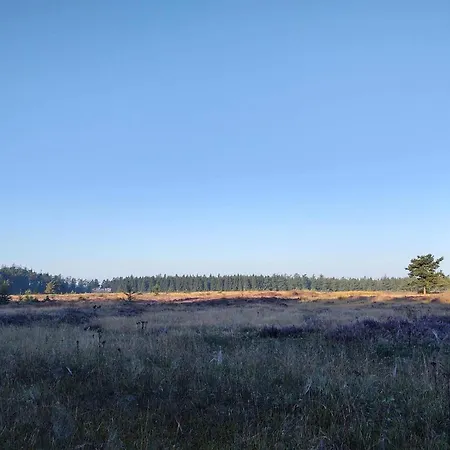 Casa de Férias 5 Person In Hovborg-by Traum *